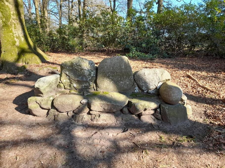 Gezellig Ingerichte Blokhut Op Een Rustig Park! プッテン エクステリア 写真